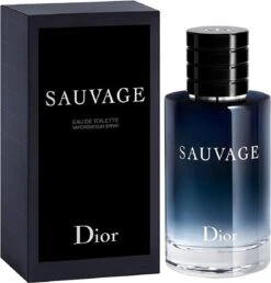 Dior Sauvage 60 Ml - Eau De Toilette - Herenparfum -Cosmetica Aanbiedingen 1151x1200 1