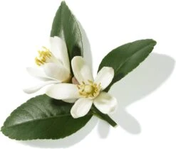 Lancôme Poême 30 Ml - Eau De Parfum - Damesparfum -Cosmetica Aanbiedingen 1200x1019