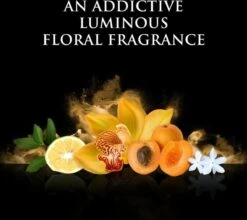 Beyonce Rise - 100ml - Eau De Parfum -Cosmetica Aanbiedingen 1200x1068