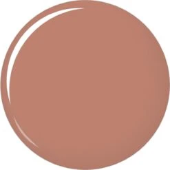 L'Oréal Paris Color Riche Shine Lippenstift - 658 Topless -Cosmetica Aanbiedingen 1200x1198 2