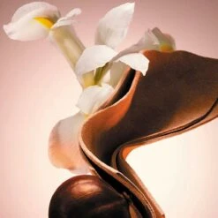 Hugo Boss The Scent Le Parfum Eau De Parfum 100 Ml 13 Hugo Boss The Scent Le Parfum Eau De Parfum 100 Ml -Cosmetica Aanbiedingen 1200x1200 346