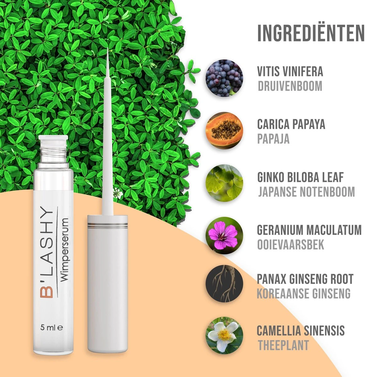 B’LASHY® Wimperserum - Wimper Groeimiddel - Wimper Serum Voor Sterke, Lange En Volle Wimpers - 5 Ml 2 B’LASHY® Wimperserum - Wimper Groeimiddel - Wimper Serum Voor Sterke, Lange En Volle Wimpers - 5 Ml - Afbeelding 2