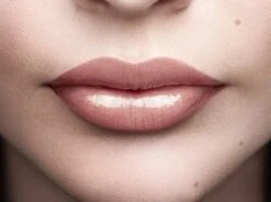 L'Oréal Paris Color Riche Shine Lippenstift - 658 Topless -Cosmetica Aanbiedingen 1200x895