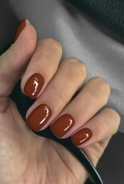 De Sera Gellak 6-delige Set - Gel Nagellak - Herfstkleuren - Herfst - 10ML - Born In Autumn -Cosmetica Aanbiedingen 807x1200 1